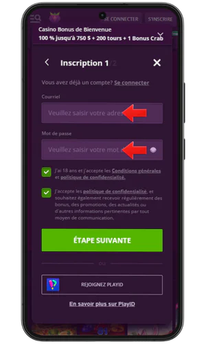 Conduisez Mali et connectez-vous