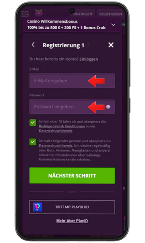 Geben Sie Ihre E-Mail-Adresse ein und melden Sie sich an.