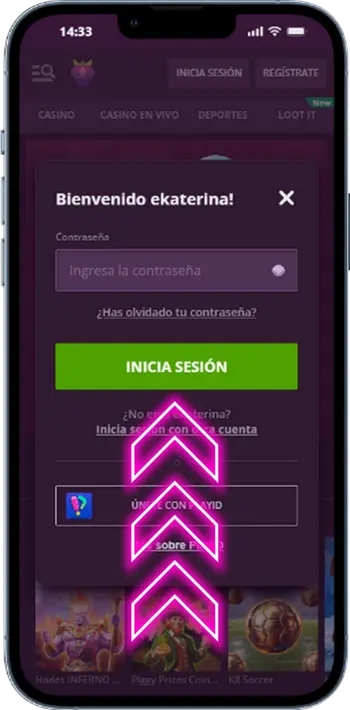 Formulario de acceso Malina Casino