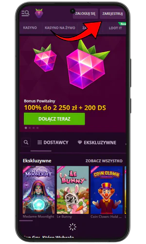 Przycisk rejestracji
