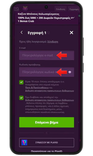 Εισάγετε τα στοιχεία σας