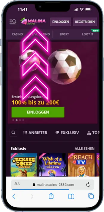Offizielle Website von Malina Casino
