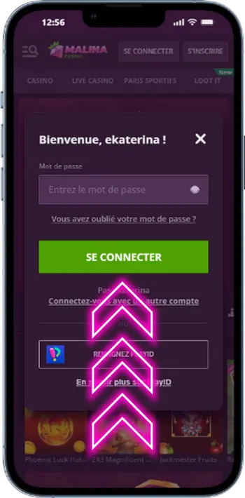 Formulaire de connexion au Casino Malina