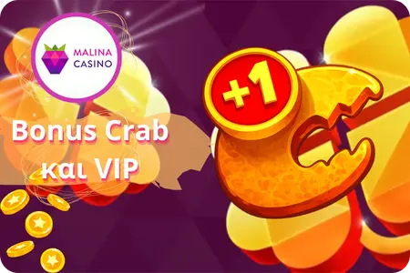 Πρόγραμμα VIP και Μπόνους Καβούρι στο καζίνο